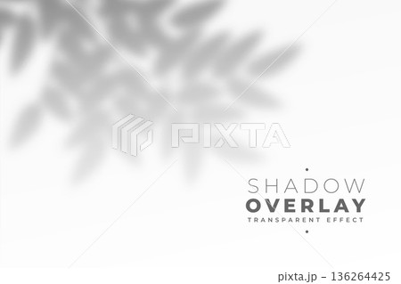 shadow overlay of leafs on gray background shadow overlay of leafs on gray background 136264425