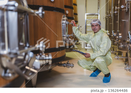 Winemaker working in modern large winery factory liquor drink industry quality. Winemaker working in modern large winery factory liquor drink industry quality. 136264486