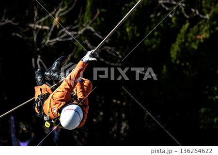 出初式の救助活動の実演で張り巡らせたロープをロープ渡りするレンジャー消防隊員 出初式の救助活動の実演で張り巡らせたロープをロープ渡りするレンジャー消防隊員 136264622