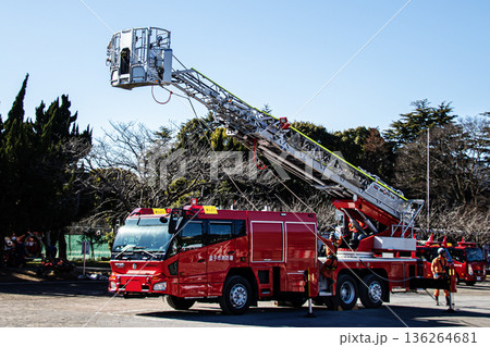 出初式ではしご付消防車のはしごを伸ばし救助活動を実演する消防隊員 136264681