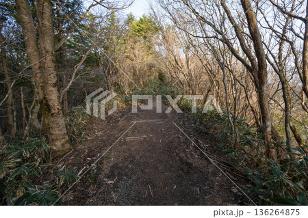 石鎚山登山、愛媛県 136264875