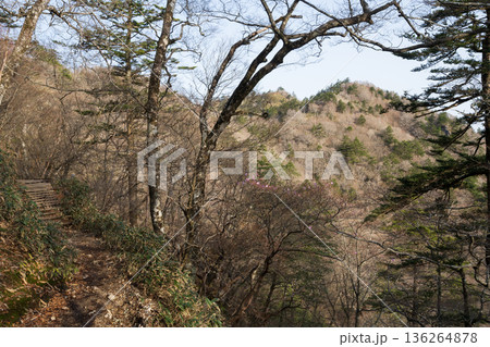 石鎚山登山、愛媛県 石鎚山登山、愛媛県 136264878