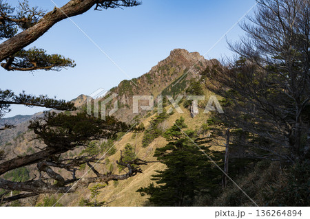 石鎚山登山、愛媛県 石鎚山登山、愛媛県 136264894