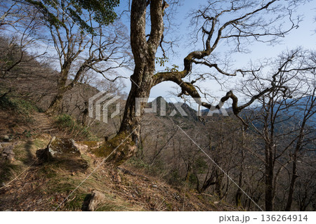 石鎚山登山、愛媛県 136264914
