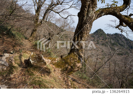 石鎚山登山、愛媛県 136264915
