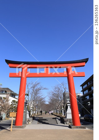 鶴岡八幡宮段葛の鳥居 鶴岡八幡宮段葛の鳥居 136265363