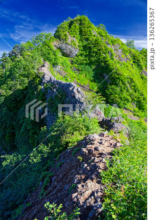 蟻の塔渡りから見る戸隠山山頂 136265367