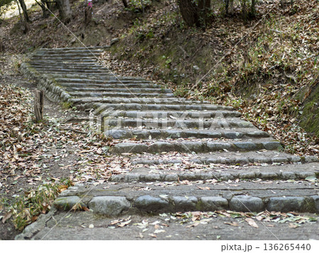 登山道に作られた階段の風景 登山道に作られた階段の風景 136265440