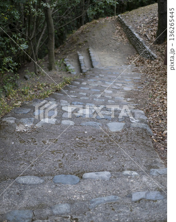 登山道に作られた階段の風景 登山道に作られた階段の風景 136265445