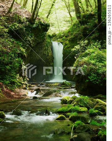新緑の季節の竜返しの滝 軽井沢町 新緑の季節の竜返しの滝 軽井沢町 136265811