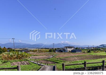 山形盆地中山町の旧家の風景 136266075