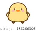 かわいいヒヨコのイラスト素材 136266306