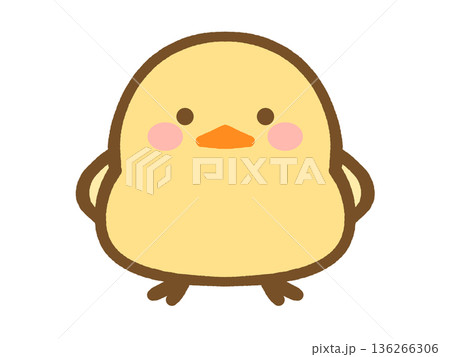 かわいいヒヨコのイラスト素材 かわいいヒヨコのイラスト素材 136266306
