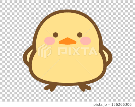 かわいいヒヨコのイラスト素材 かわいいヒヨコのイラスト素材 136266306