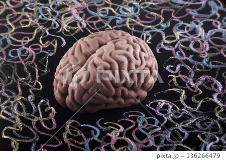 Human brain model surrounded by colorful curly lines drawn with chalk on scholl blackboard. Psychology, mental health or creative mind concept. 136266479