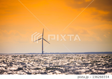 Wind turbines farm in Baltic Sea, Denmark 136266554