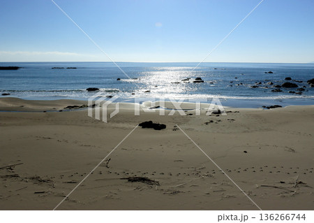 美しい海岸の風景 美しい海岸の風景 136266744
