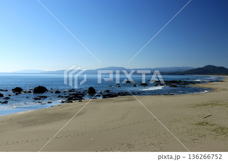 美しい海岸の風景 136266752