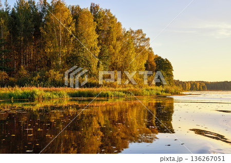 Tranquil River Reflections of Autumn Trees 136267051