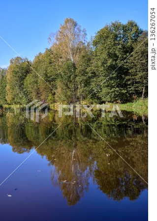 Tranquil River Reflections of Autumn Trees Tranquil River Reflections of Autumn Trees 136267054