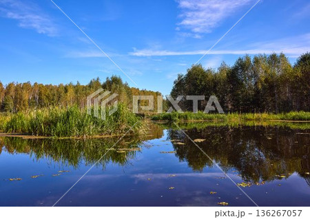 Tranquil River Reflections of Autumn Trees Tranquil River Reflections of Autumn Trees 136267057