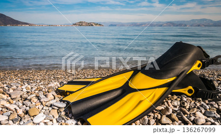 Flippers swimming equipment on beach 136267099