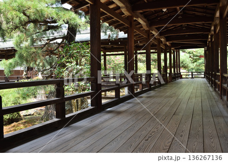 大本山大覚寺　村雨の廊下(京都市右京区) 136267136