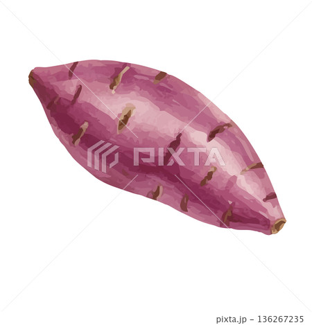 水彩風のさつまいもイラスト 136267235