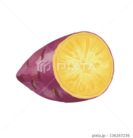 水彩風のさつまいもイラスト 136267236