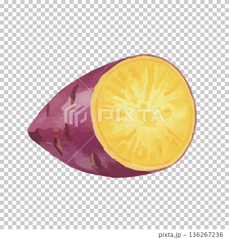 水彩風格的紅薯插圖 136267236