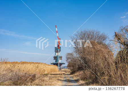 淀川右岸河川敷に立つ送電線鉄塔　大阪府高槻市 136267778