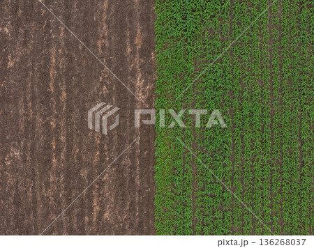 Aerial top view of a different agriculture fields in countryside on a spring day.  136268037
