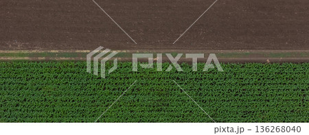 Aerial top view of a different agriculture fields in countryside on a spring day.  136268040