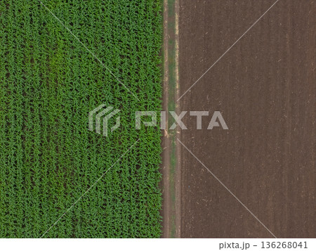 Aerial top view of a different agriculture fields in countryside on a spring day. Aerial top view of a different agriculture fields in countryside on a spring day. 136268041