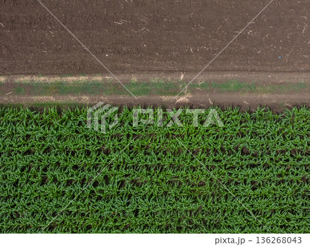 Aerial top view of a different agriculture fields in countryside on a spring day.  136268043