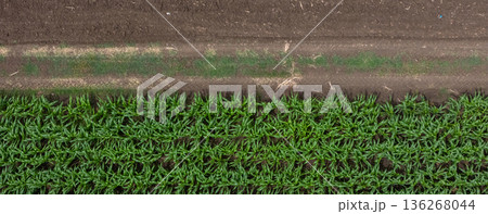 Aerial top view of a different agriculture fields in countryside on a spring day. Aerial top view of a different agriculture fields in countryside on a spring day. 136268044