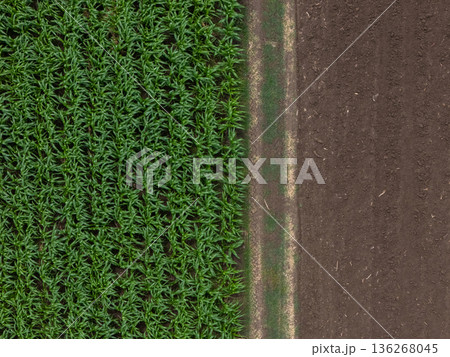 Aerial top view of a different agriculture fields in countryside on a spring day. Aerial top view of a different agriculture fields in countryside on a spring day. 136268045