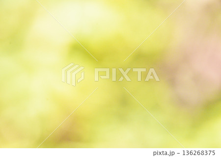 グリーン系 　背景素材 136268375