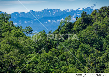 戸隠山から見る北アルプス・槍穂高連峰 136268377
