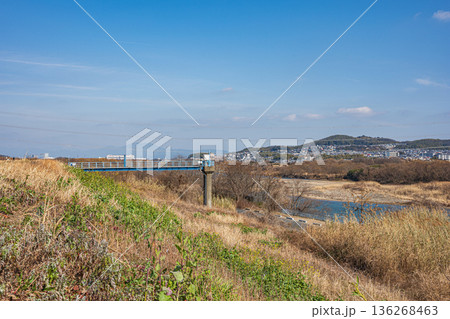 冬の淀川右岸河川敷風景　大阪府高槻市 136268463