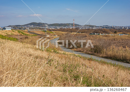 冬の淀川右岸河川敷風景　大阪府高槻市 136268467