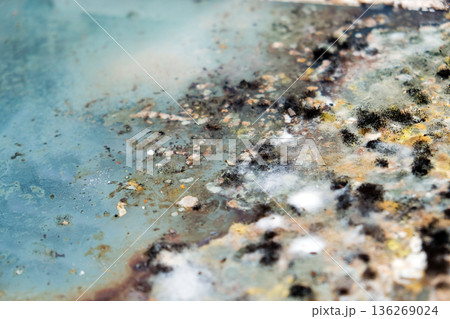 A picture of mold growing on leftover food scraps in the refrigerator. 136269024
