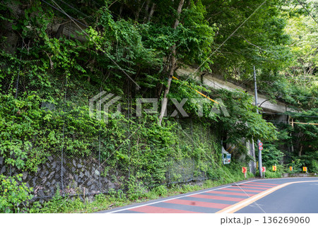 【小河内線】国道と並行する廃線跡の橋梁 136269060