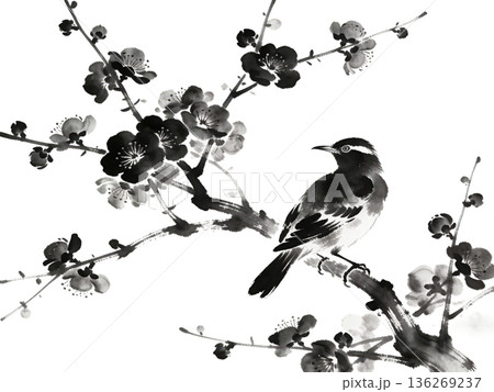 日本画風の鳥と花のイラストセット（和風・春・切り抜き） 136269237