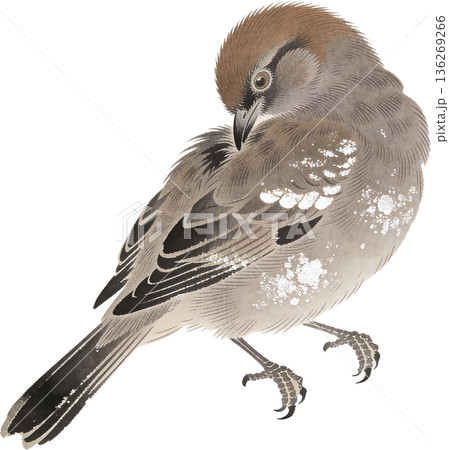 日本画風の鳥と花のイラストセット(和風・春・切り抜き) 日本画風の鳥と花のイラストセット(和風・春・切り抜き) 136269266