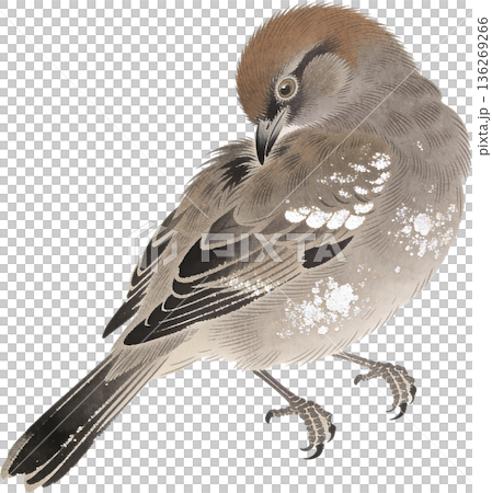 日本画風の鳥と花のイラストセット(和風・春・切り抜き) 日本画風の鳥と花のイラストセット(和風・春・切り抜き) 136269266