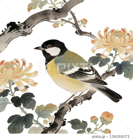 日本画風の鳥と花のイラストセット(和風・春・切り抜き) 日本画風の鳥と花のイラストセット(和風・春・切り抜き) 136269271