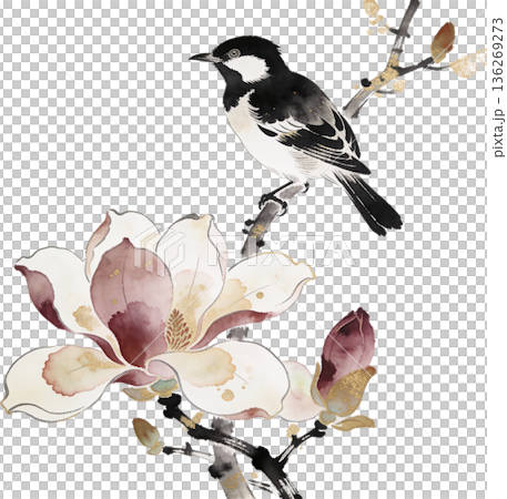 日本画風の鳥と花のイラストセット(和風・春・切り抜き) 日本画風の鳥と花のイラストセット(和風・春・切り抜き) 136269273