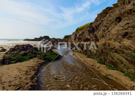 A small stream winds its way through the brown sand of a sunny beach towards the vast ocean beyond. To the right, rocky cliffs rise, topped with green vegetation. 136269341