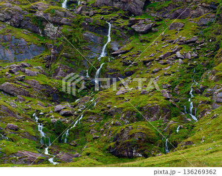 Multiple slender waterfalls cascade down the lush, green, moss-covered slopes of a mountain. On a bright day, the water creates silvery streaks against the vibrant vegetation and dark rock formations. Multiple slender waterfalls cascade down the lush, green, moss-covered slopes of a mountain. On a bright day, the water creates silvery streaks against the vibrant vegetation and dark rock formations. 136269362